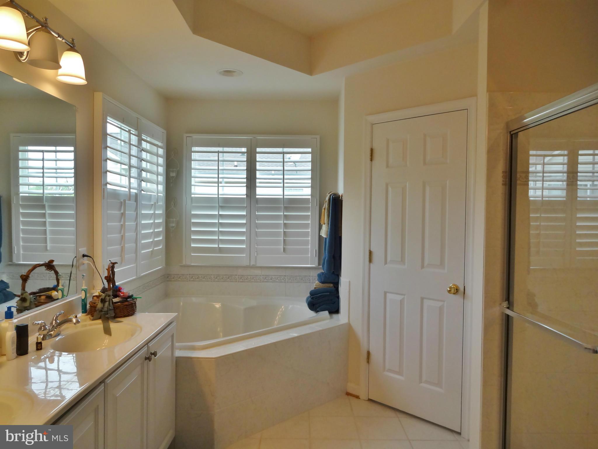 6704 Woodbury Road Baltimore, MD 21209 - Photo 11 of 16 Bath (Master)