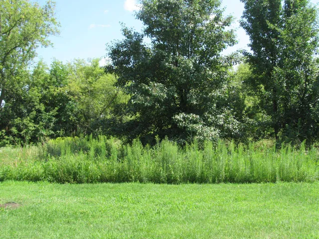 $299,900 | W1037 Highway 96, Kaukauna, WI 54130