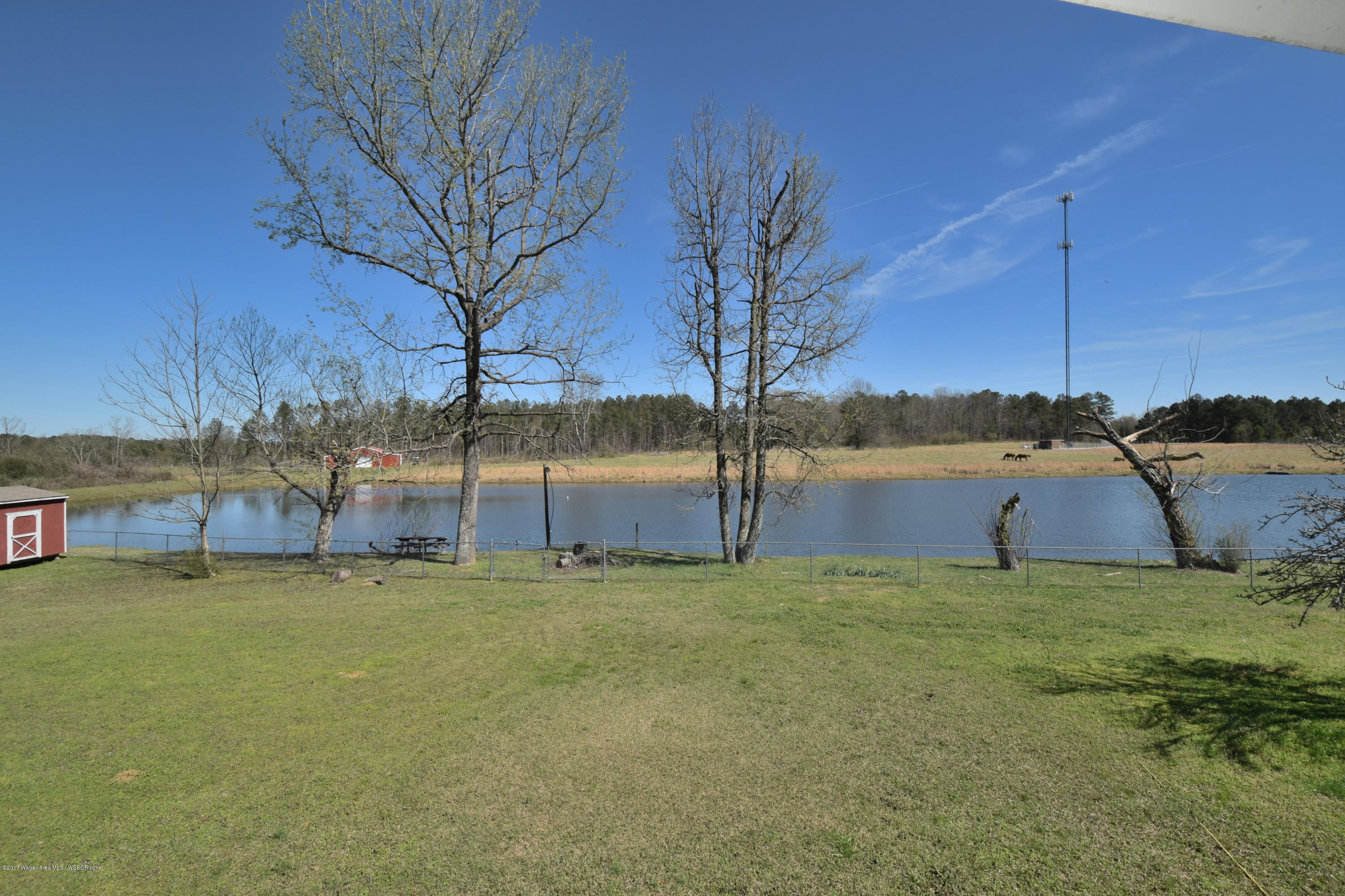 5125 Smith Lake Dam Road Jasper, AL 35504 - Photo 4 of 26 Gallery Image 4
