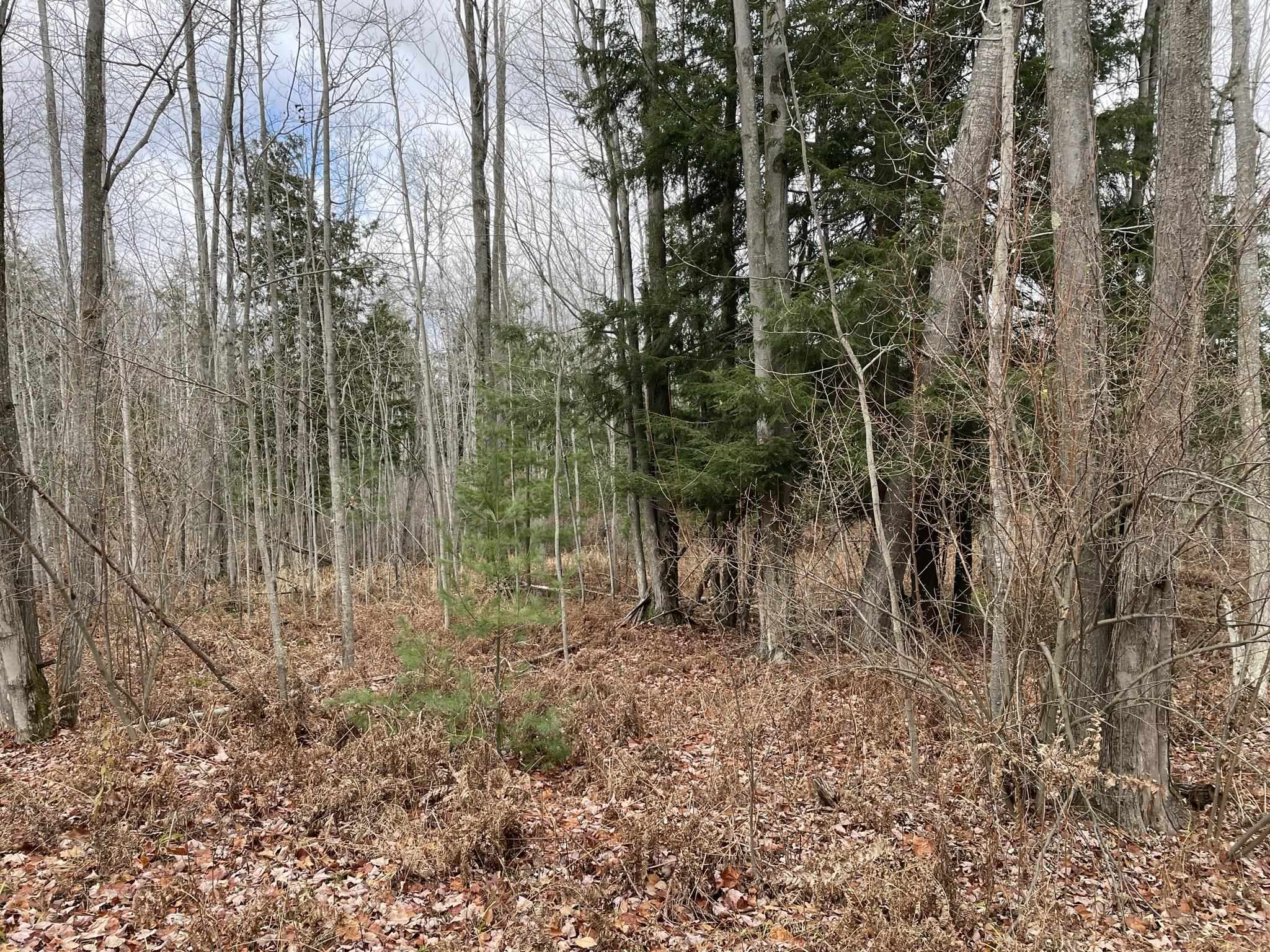 N/a West Heath Road Rose City, MI 48654 - Photo 5 of 9
