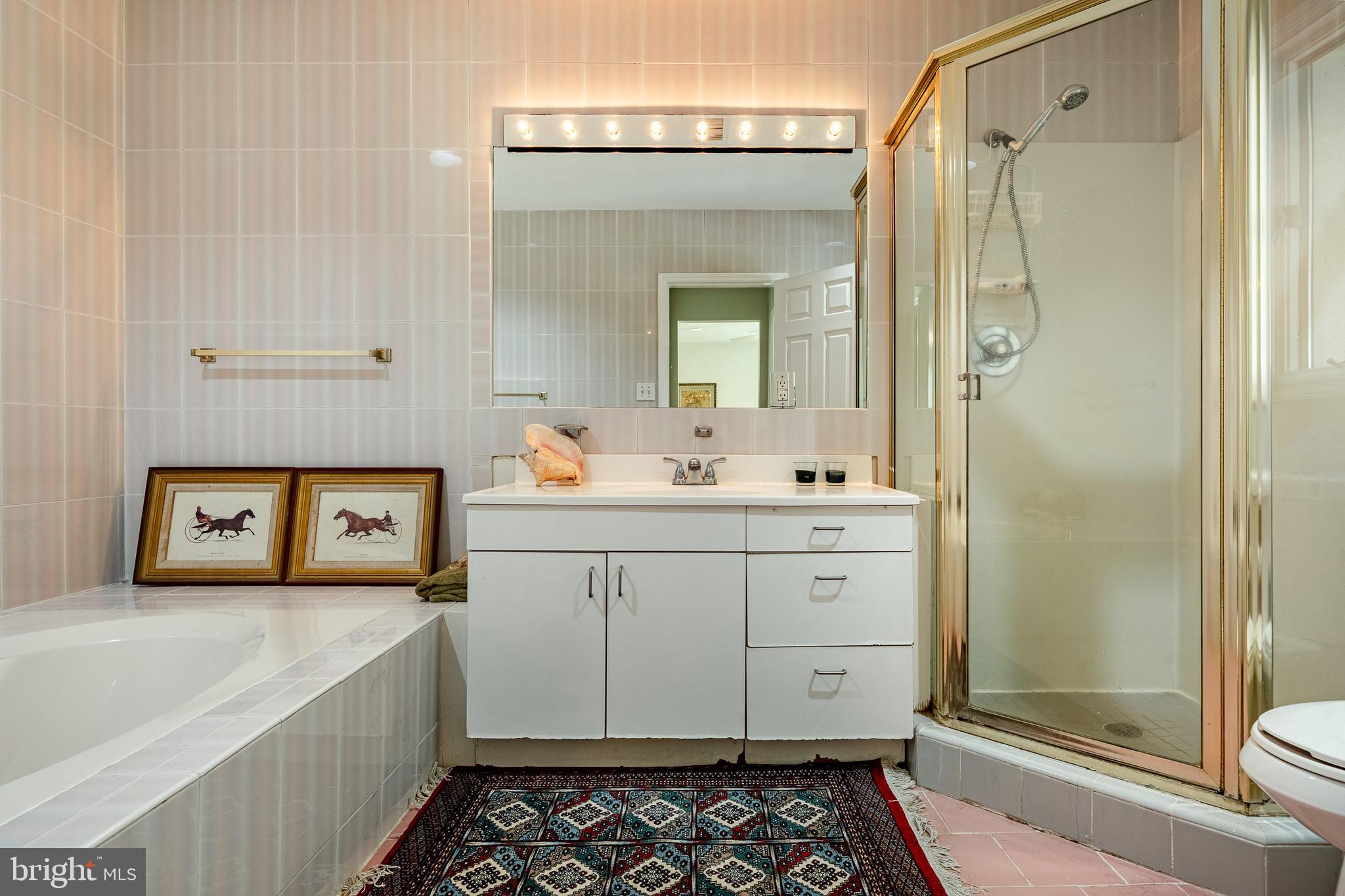 763 Denton Hollow Road West Chester, PA 19382 - Photo 25 of 80 a bathroom with a sink a mirror and a shower