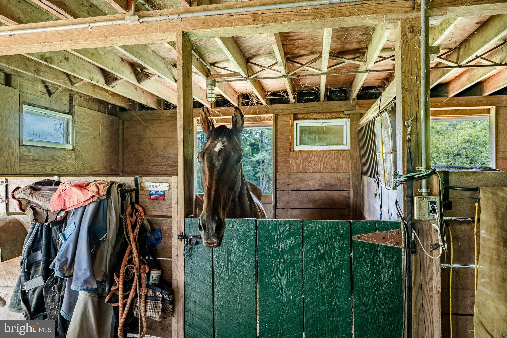 763 Denton Hollow Road West Chester, PA 19382 - Photo 51 of 80 Bring your horses