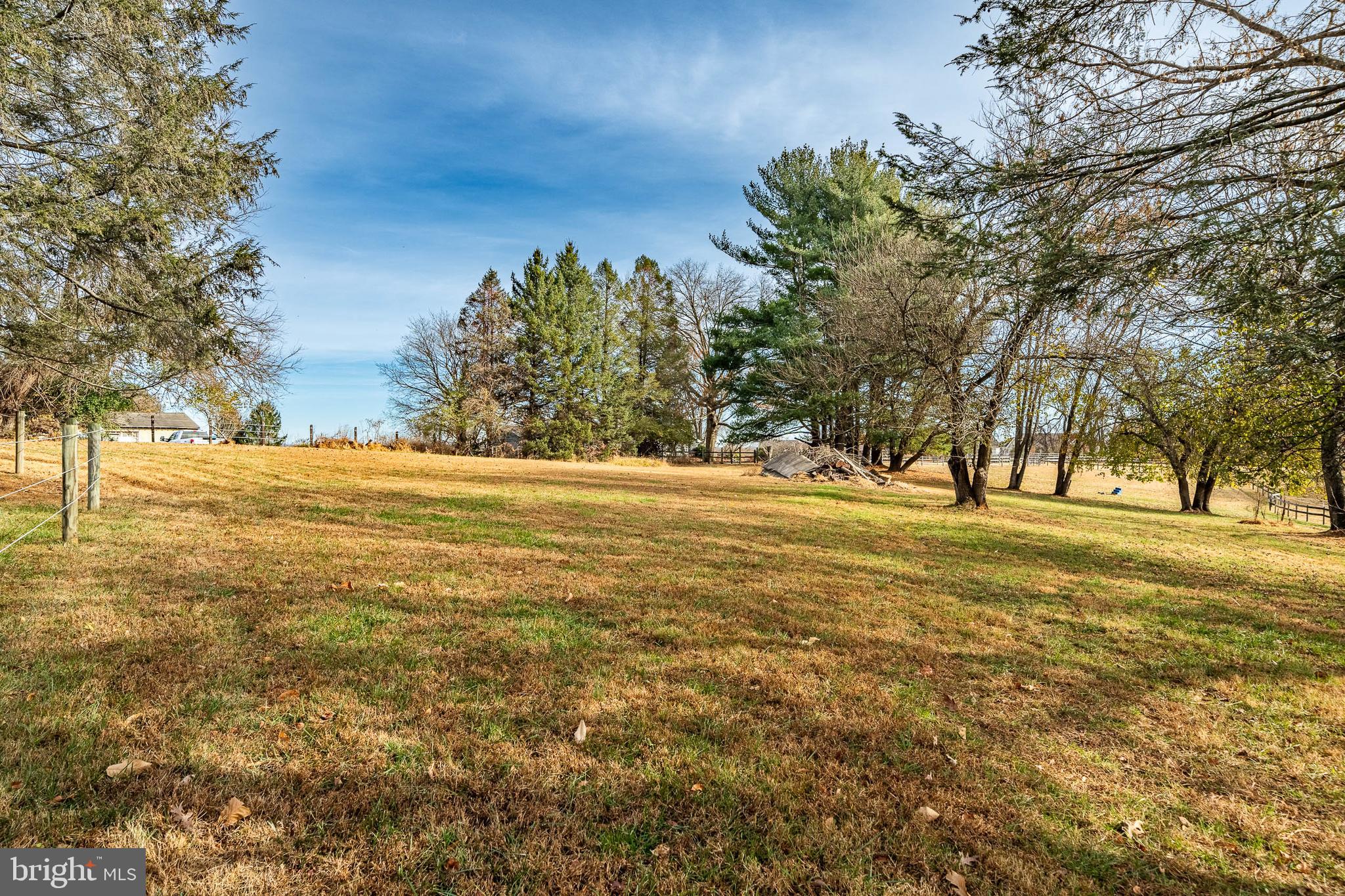763 Denton Hollow Road West Chester, PA 19382 - Photo 63 of 80 a view of yard with trees