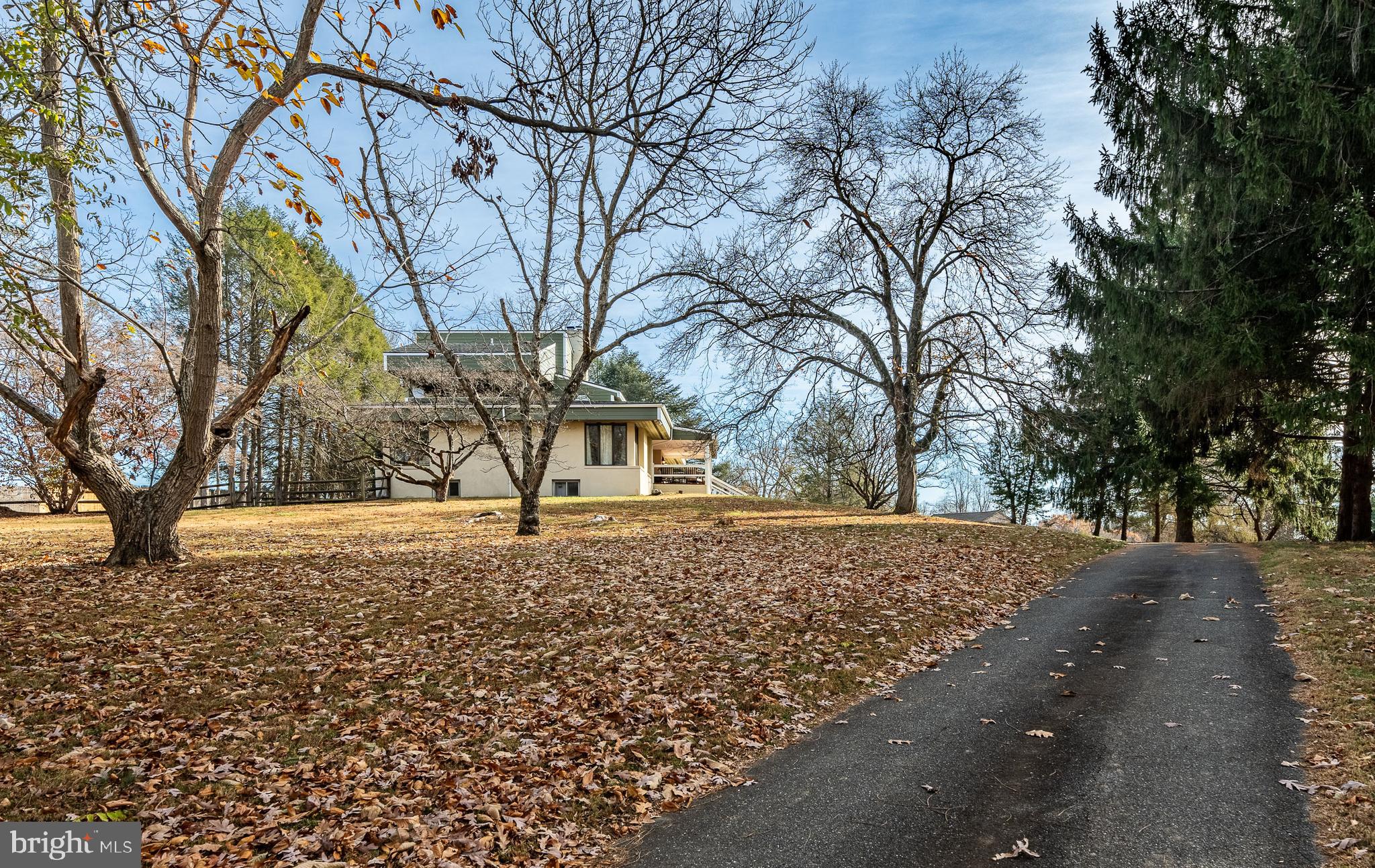 763 Denton Hollow Road West Chester, PA 19382 - Photo 8 of 80 a view of a yard with trees