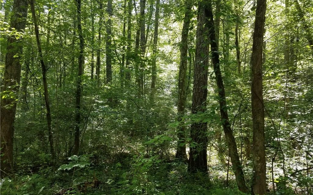 Craigtown Road Ellijay, GA 30540 - Photo 2 of 4 Additional View