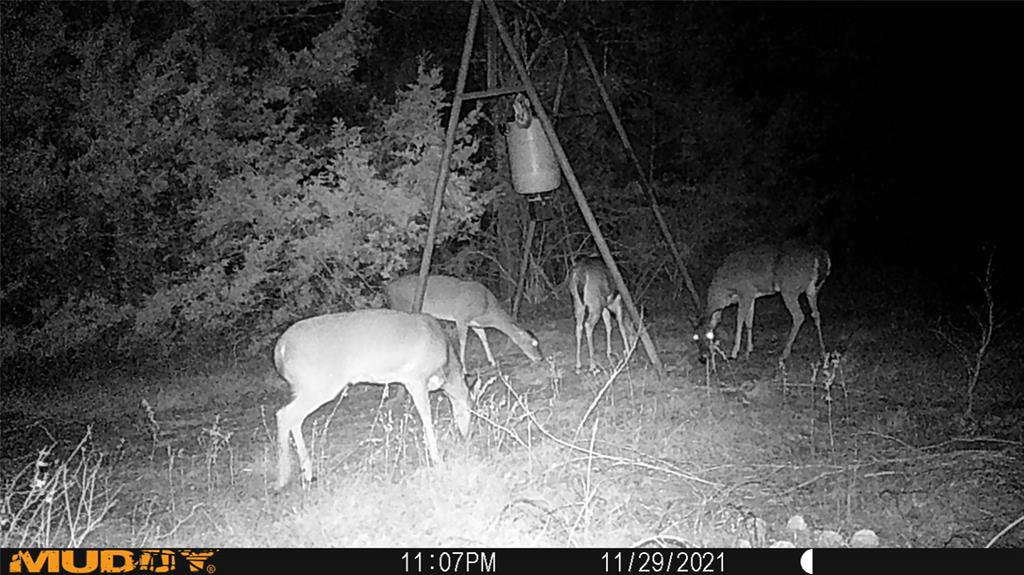 Tbd Ayres Road Bells, TX 75414 - Photo 27 of 27