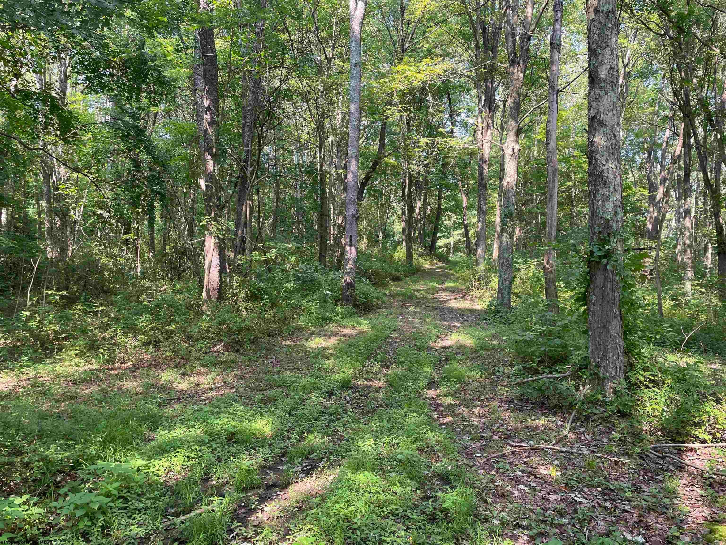 Tbd Mount Clare Road Mount Clare, WV 26408 - Photo 15 of 45 Gallery Image 15