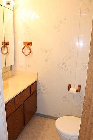 461 Minnesota Circle Carol Stream, IL 60188 - Photo 14 of 15 a bathroom with a sink and a mirror