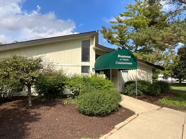 a view of a garden with a bench in a garden