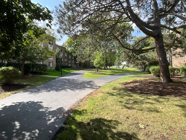 a view of a park with large trees