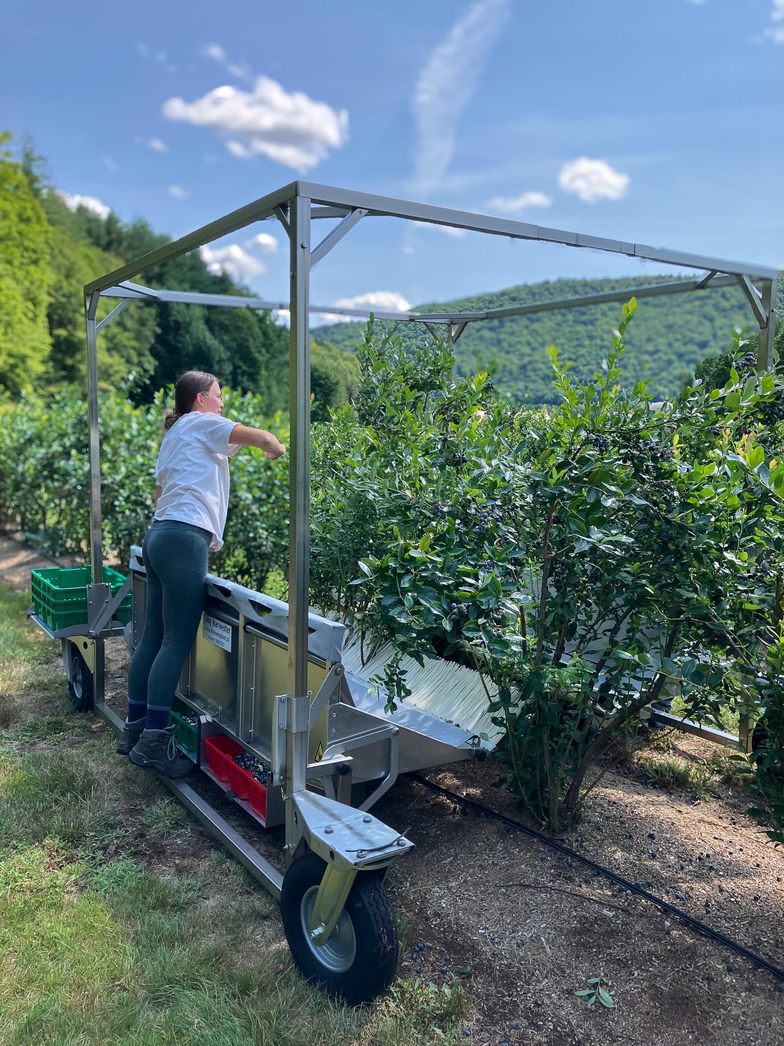 129 Ranger Road Rochester, VT 05767 - Photo 12 of 50