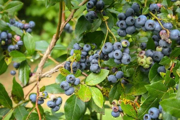 $275,000 | 129 Ranger Road, Rochester, VT 05767