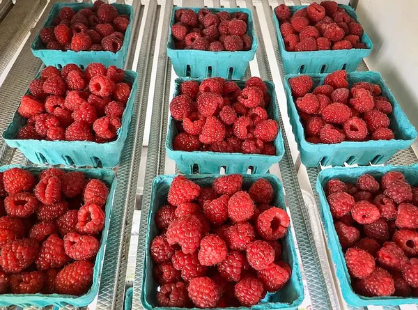 $275,000 | 129 Ranger Road, Rochester, VT 05767