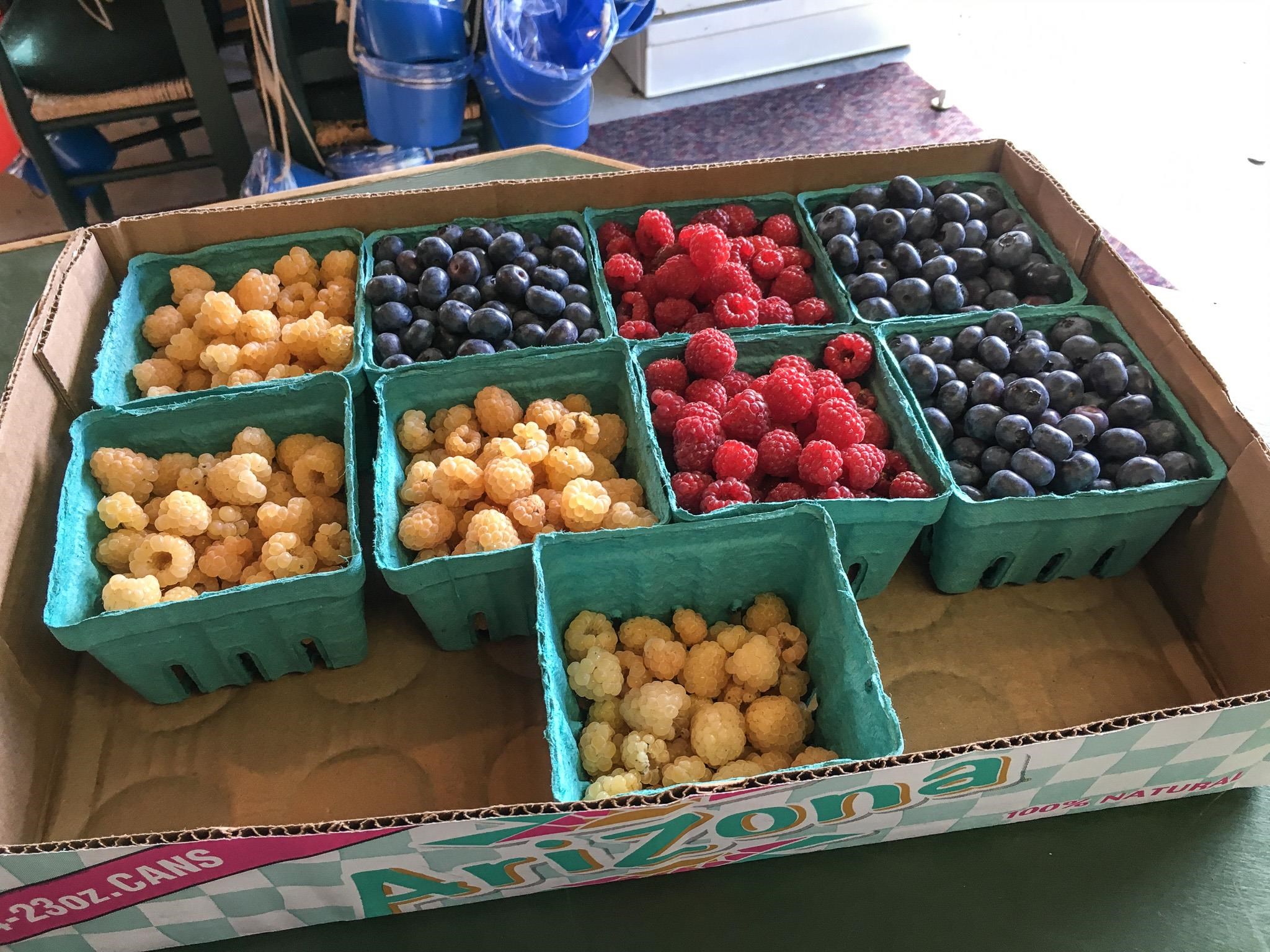 129 Ranger Road Rochester, VT 05767 - Photo 19 of 50