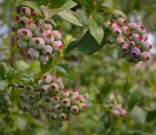 $275,000 | 129 Ranger Road, Rochester, VT 05767