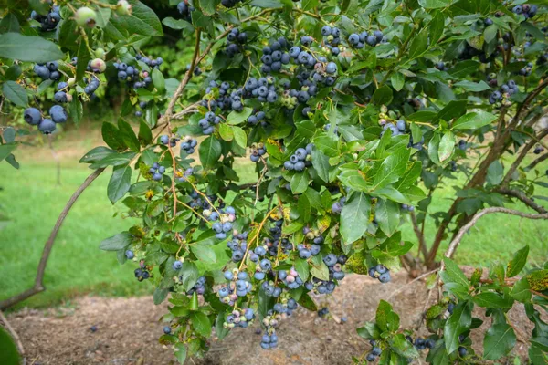 $275,000 | 129 Ranger Road, Rochester, VT 05767