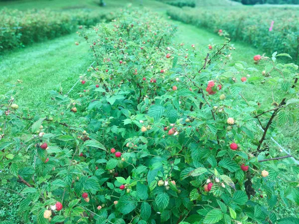 $275,000 | 129 Ranger Road, Rochester, VT 05767