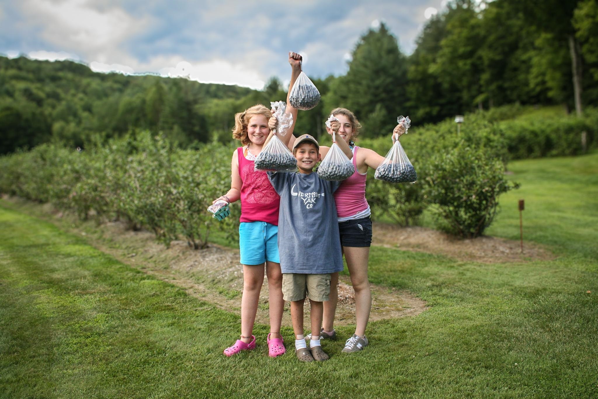 129 Ranger Road Rochester, VT 05767 - Photo 34 of 50