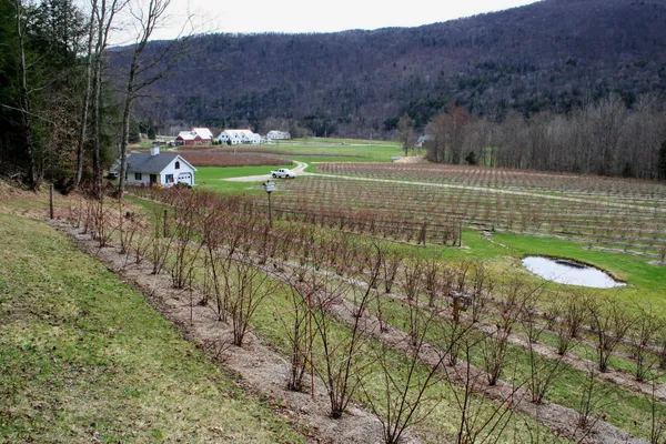 $275,000 | 129 Ranger Road, Rochester, VT 05767