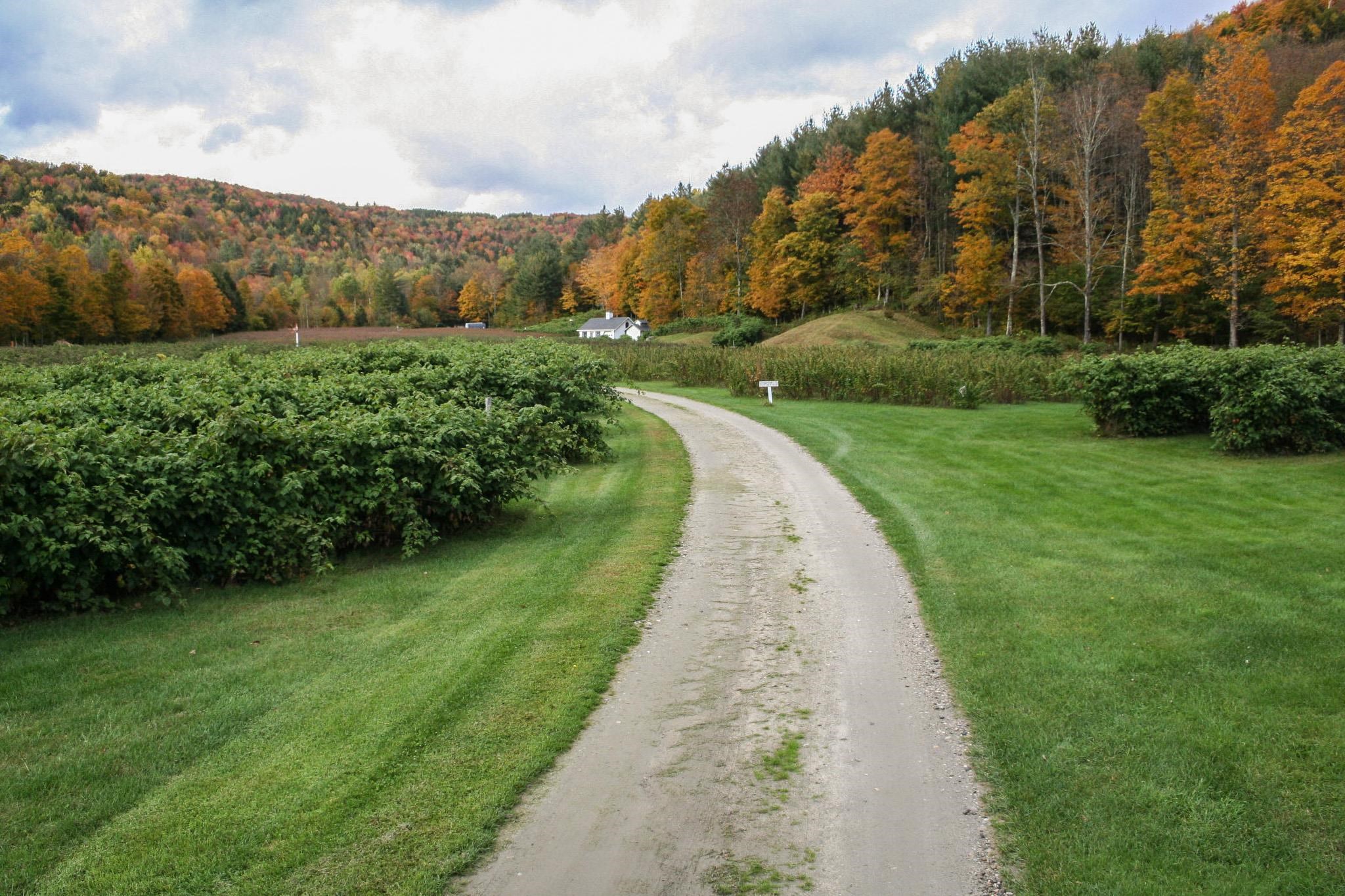 129 Ranger Road Rochester, VT 05767 - Photo 7 of 50