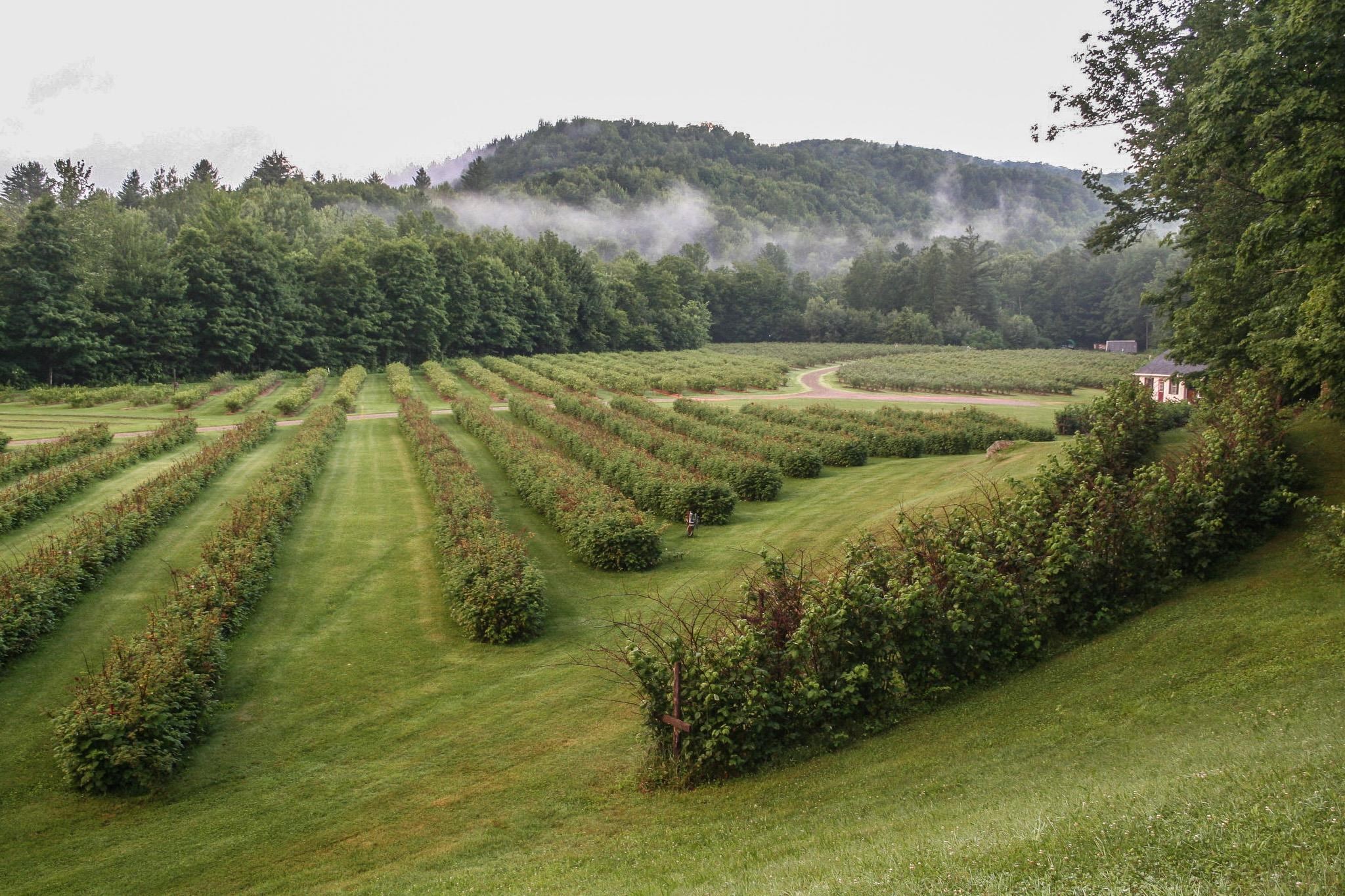 129 Ranger Road Rochester, VT 05767 - Photo 10 of 50