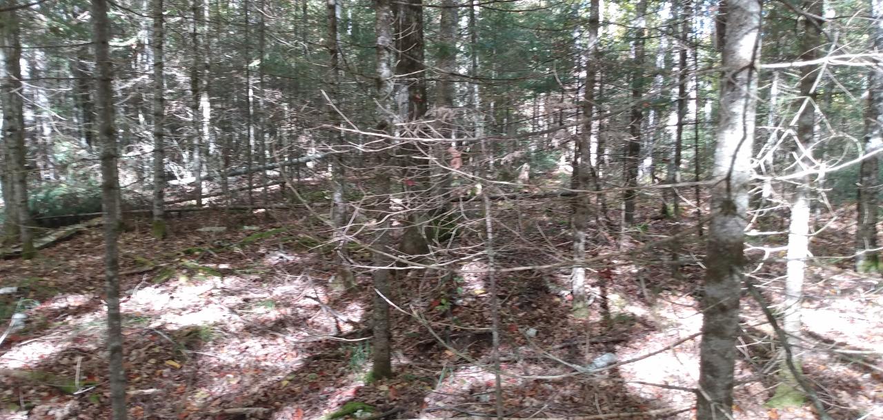 On Moonshine Valley Road Presque Isle, WI 54557 - Photo 17 of 20 Gallery Image 17