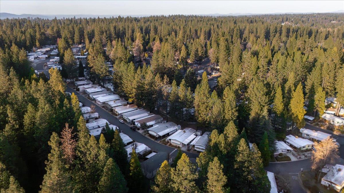 27 Primrose Lane Grass Valley, CA 95945 - Photo 42 of 44 a view of outdoor space and city view