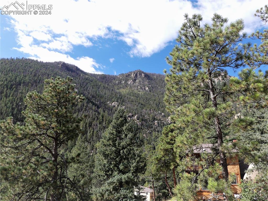 4390 Prairie Street Cascade, CO 80809 - Photo 14 of 18 a view of a building in a forest