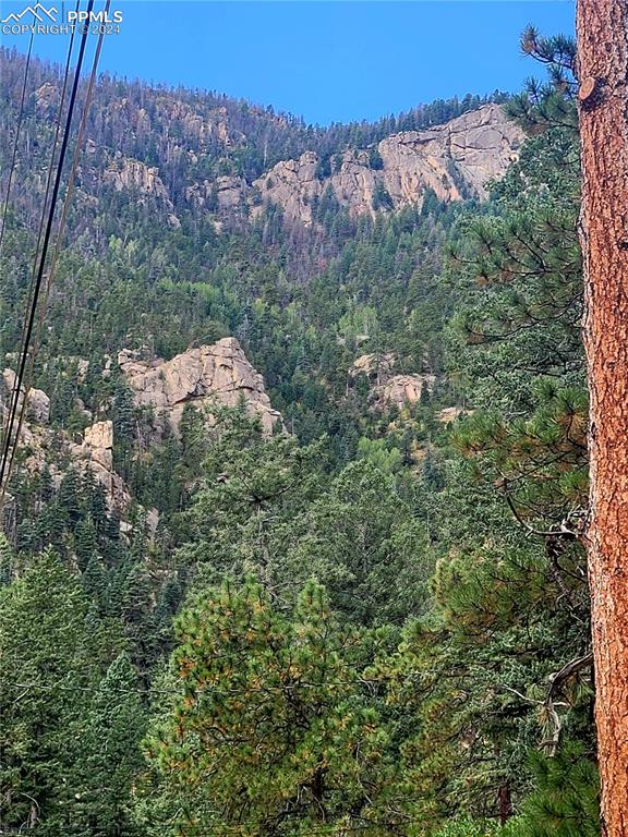 4390 Prairie Street Cascade, CO 80809 - Photo 15 of 18 an aerial view of a house with a yard