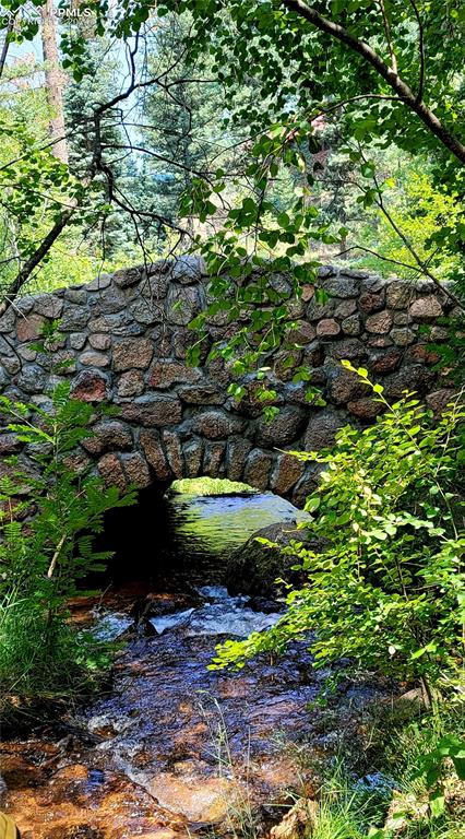 4390 Prairie Street Cascade, CO 80809 - Photo 17 of 18 a view of a backyard with plants and a fountain
