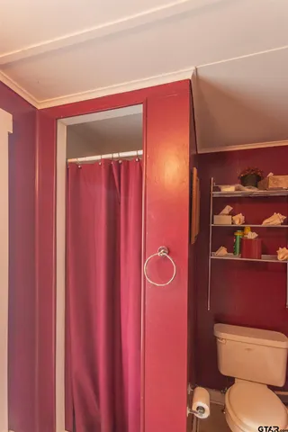 a bathroom with a toilet a sink and mirror