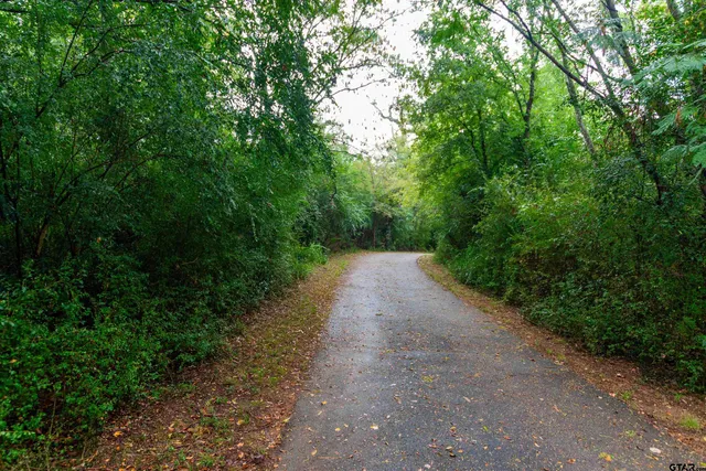a view of a pathway with a yard