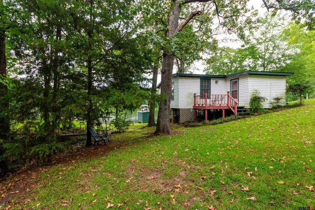 a view of a park with large trees