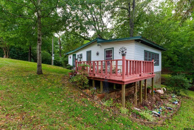a view of a house with a yard potted plants and large tree