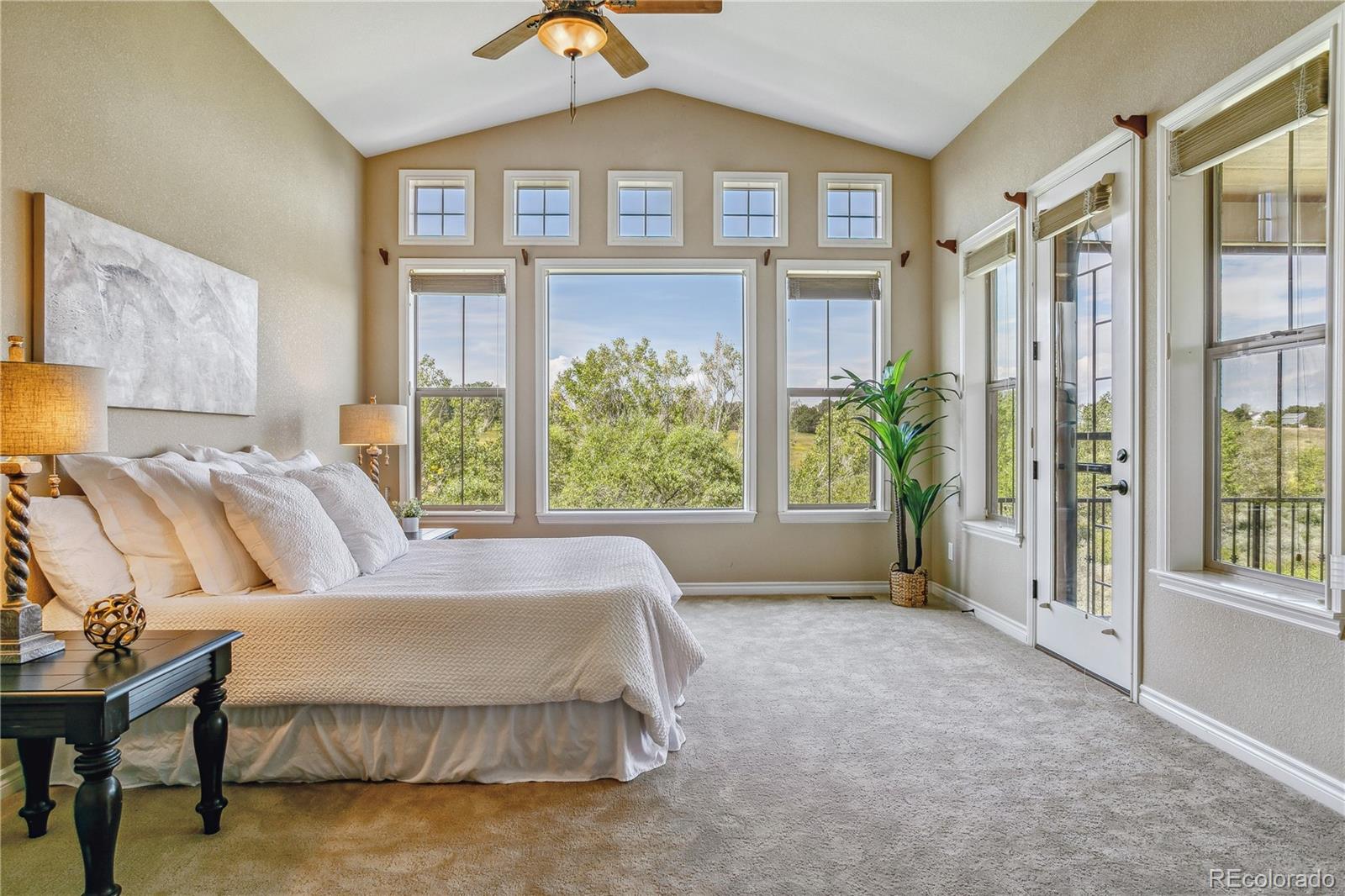 9138 Viaggio Way Highlands Ranch, CO 80126 - Photo 10 of 40