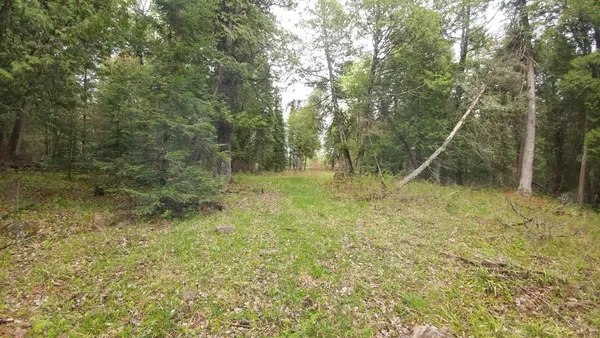 $290,000 | 4512 Serenity Point Road, Tower, MN 55790