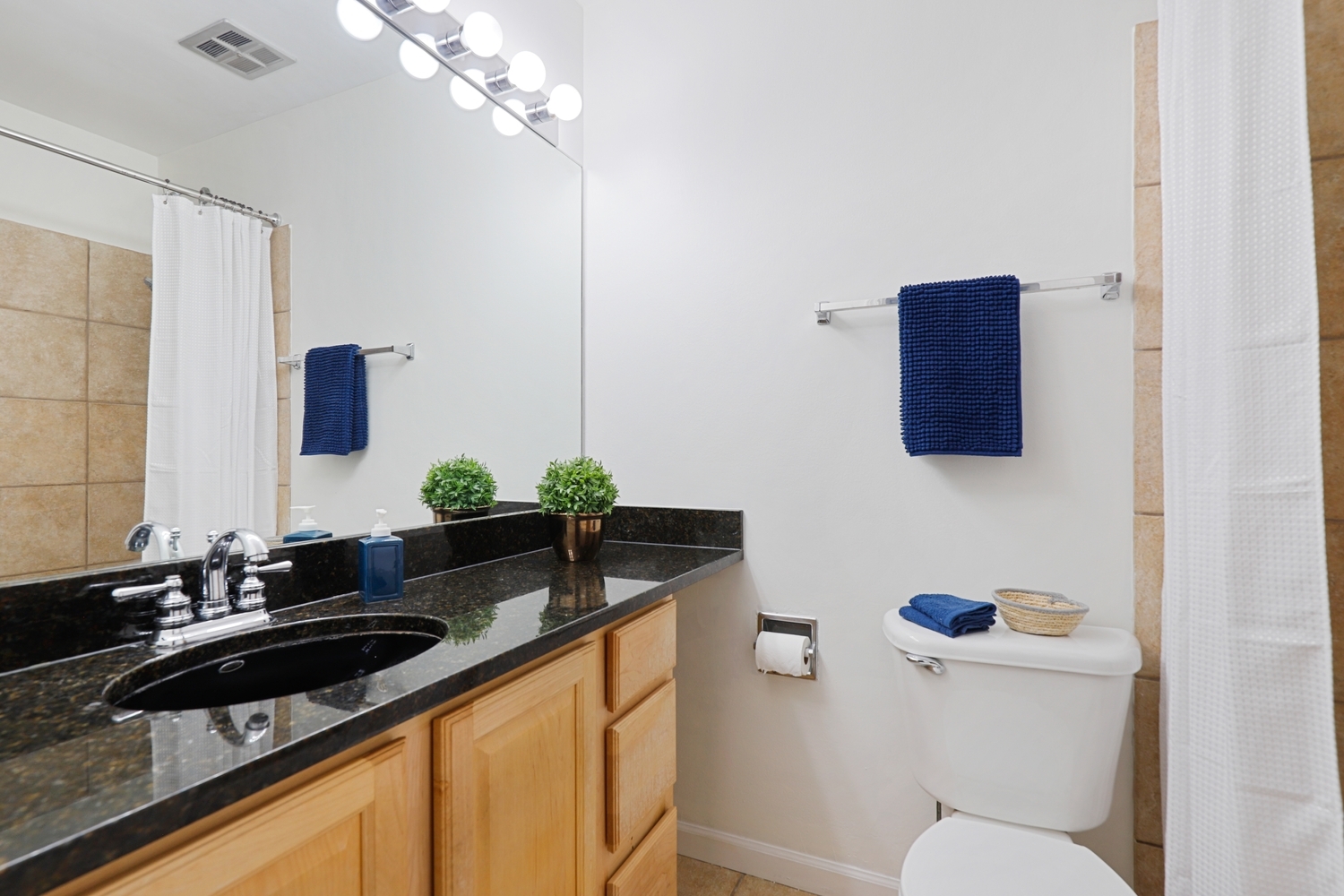 5902 Forest View Road, Unit 2D Lisle, IL 60532 - Photo 13 of 27 a bathroom with a granite countertop sink a toilet a mirror and shower curtain