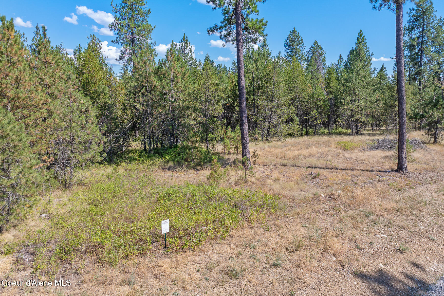 Lot 4 Dawson Loop Athol, ID 83801 - Photo 2 of 6 Lt 4 Blk 1 Revelstoke
