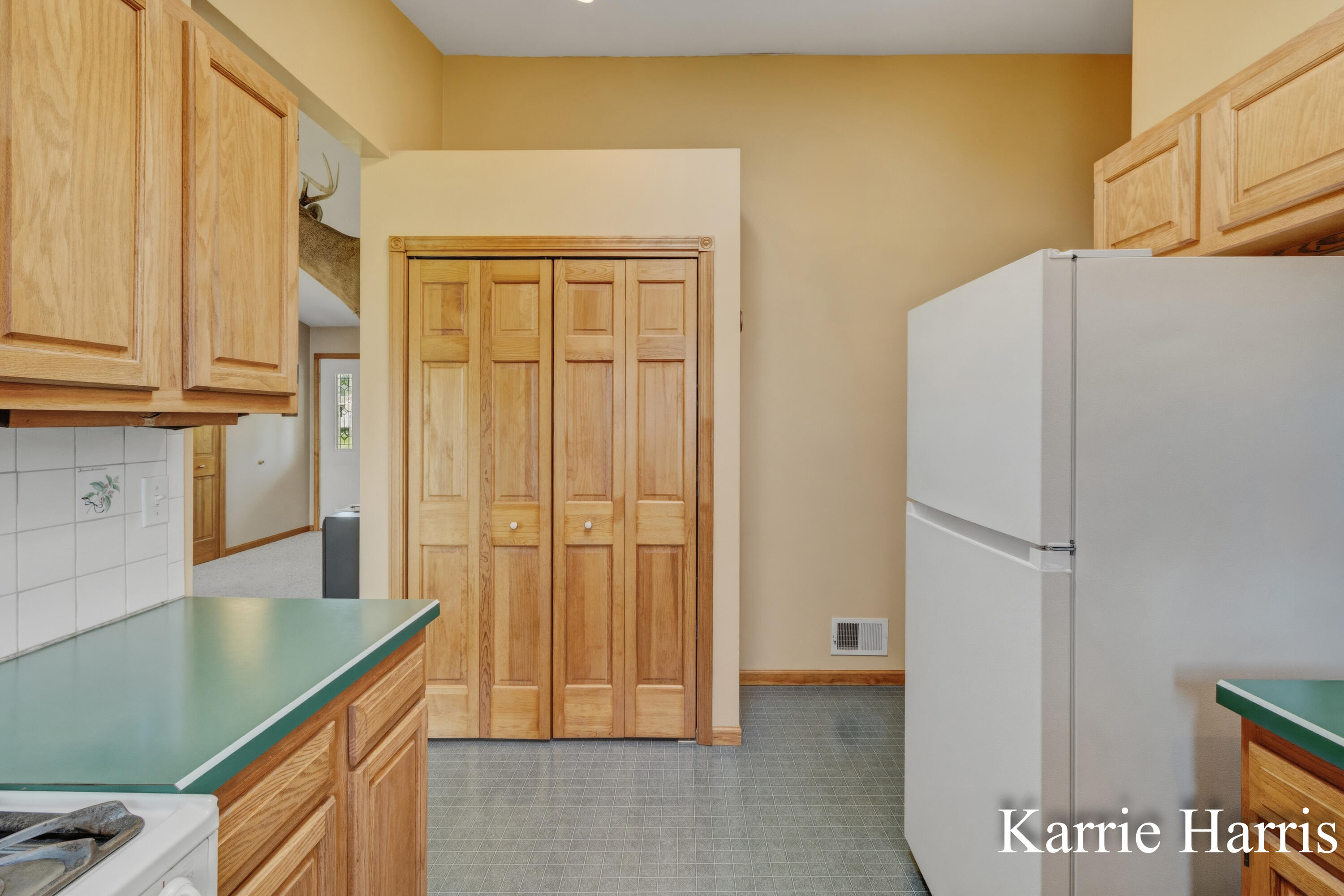 6048 Cedar Lake Road Southeast Sheridan, MI 48884 - Photo 14 of 39 Kit