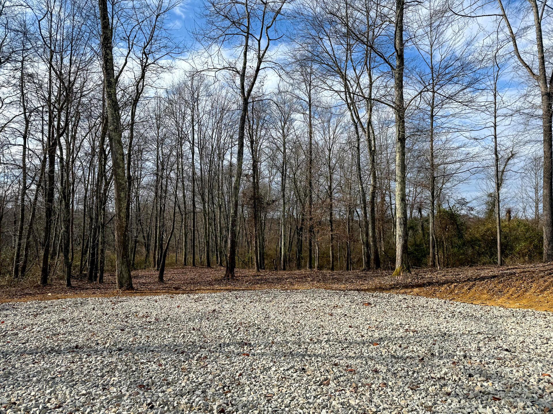 0 Dutch Ridge Road Southeast, Unit WOODS TURKEY RUN TRACT 1) New Lexington, OH 43764 - Photo 3 of 43 CT-3