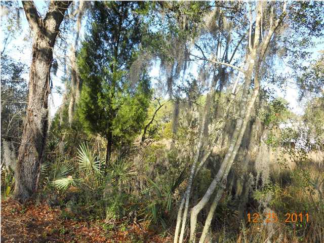 95 Ashley Hall Plantation Road, Unit 2 Charleston, SC 29407 - Photo 2 of 4 Additional Photo