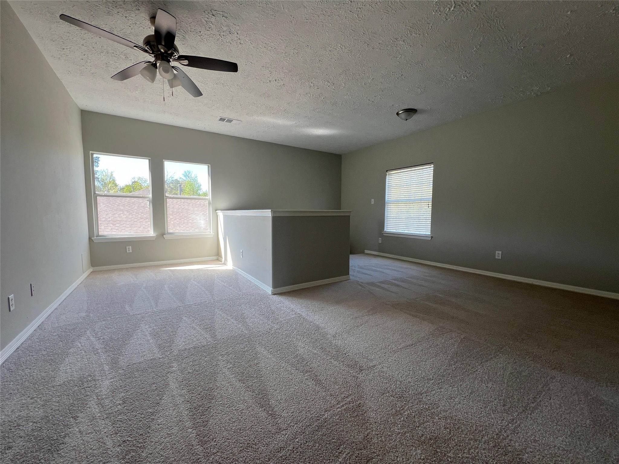 24114 Stargazer Point Spring, TX 77373 - Photo 11 of 26