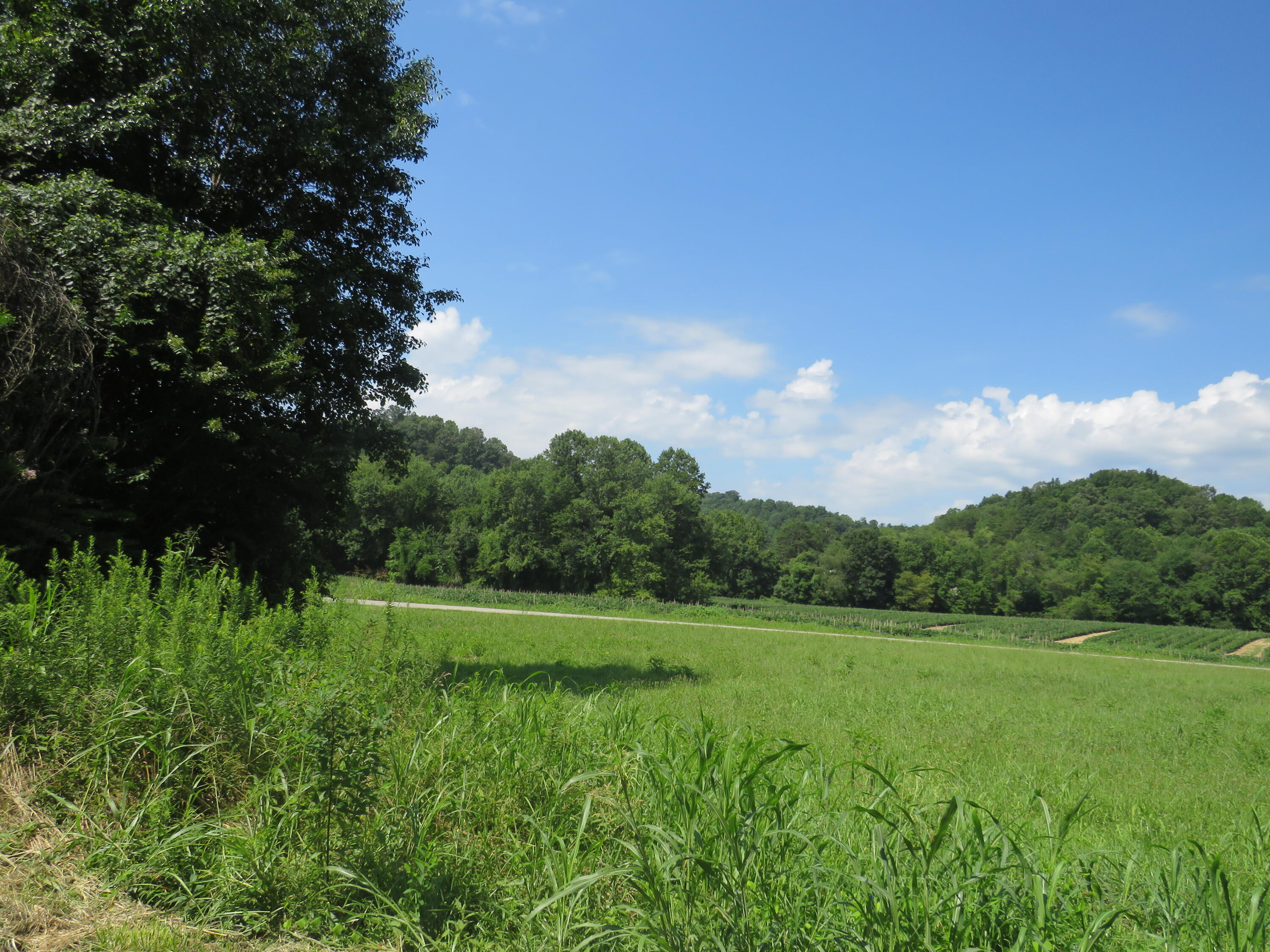 504 Nantz Road London, KY 40741 - Photo 2 of 60 IMG_5026