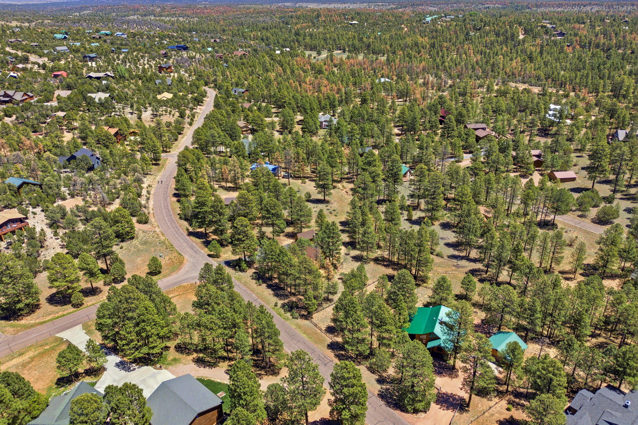 2905 Lodgepole Road Overgaard, AZ 85933 - Photo 40 of 42