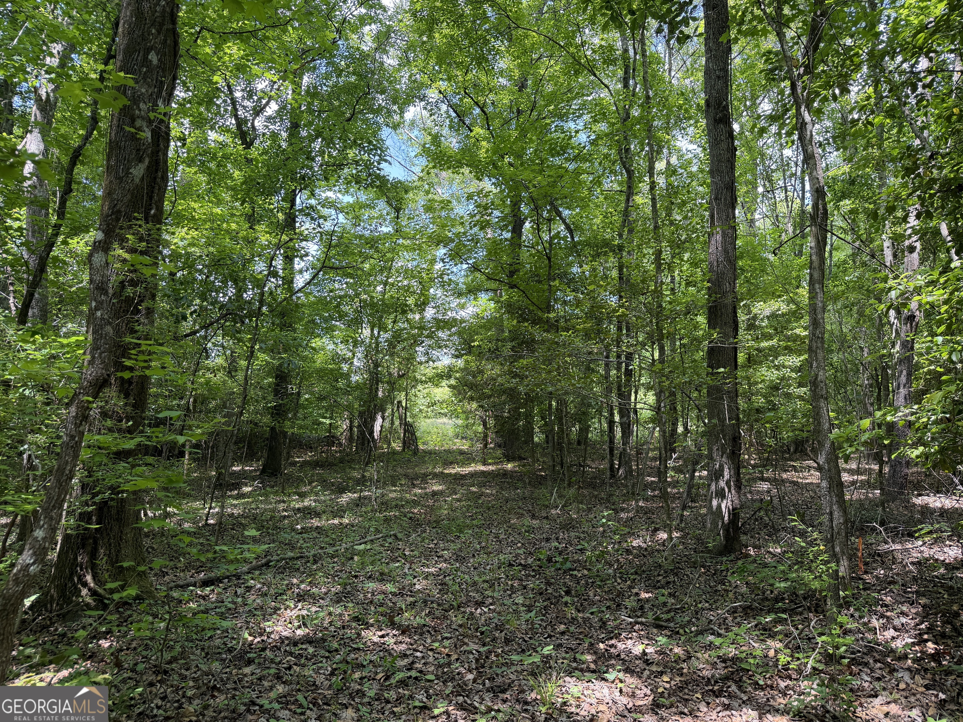 25 Long Branch Road Toomsboro, GA 31090 - Photo 3 of 10