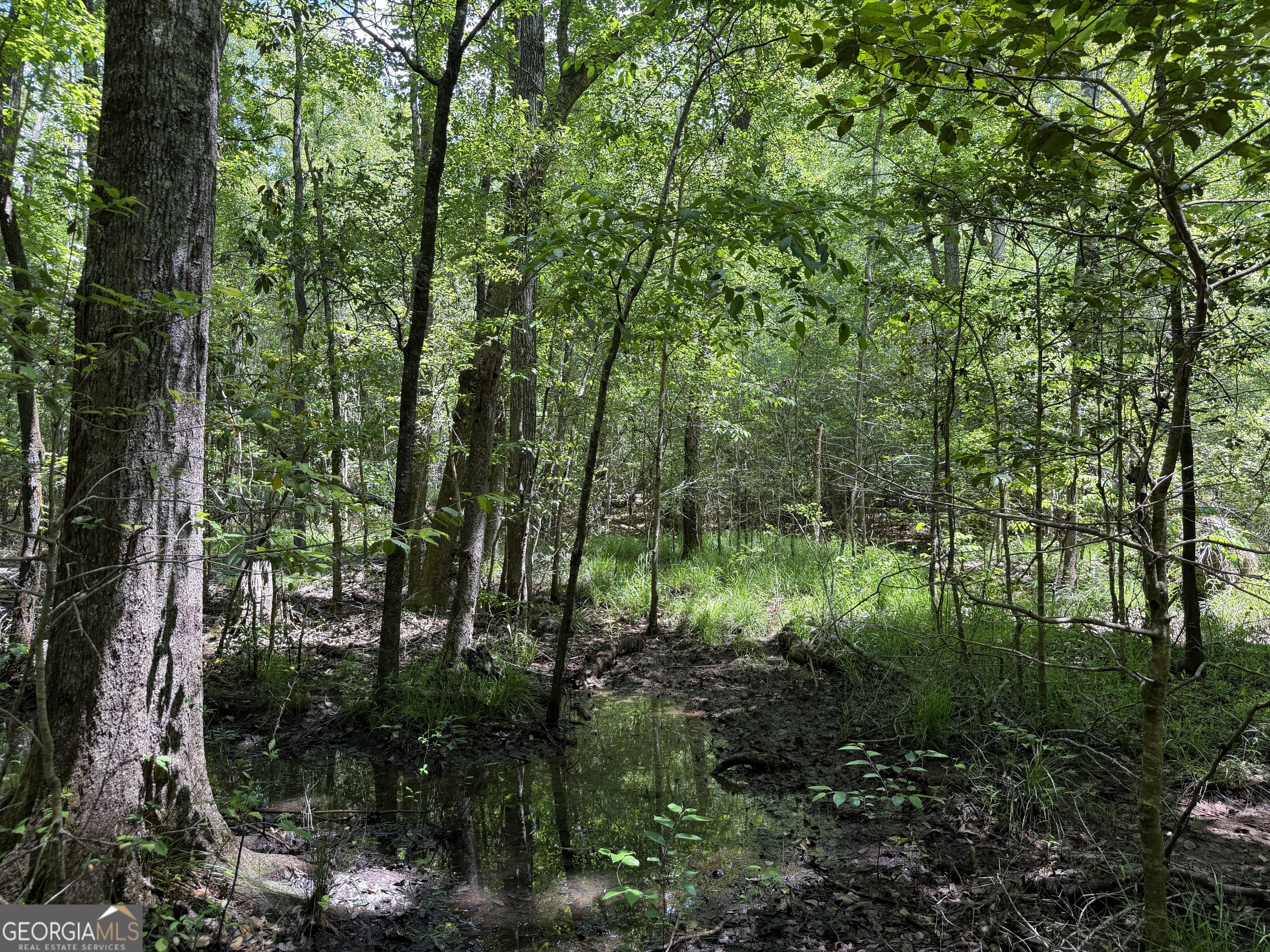 25 Long Branch Road Toomsboro, GA 31090 - Photo 4 of 10
