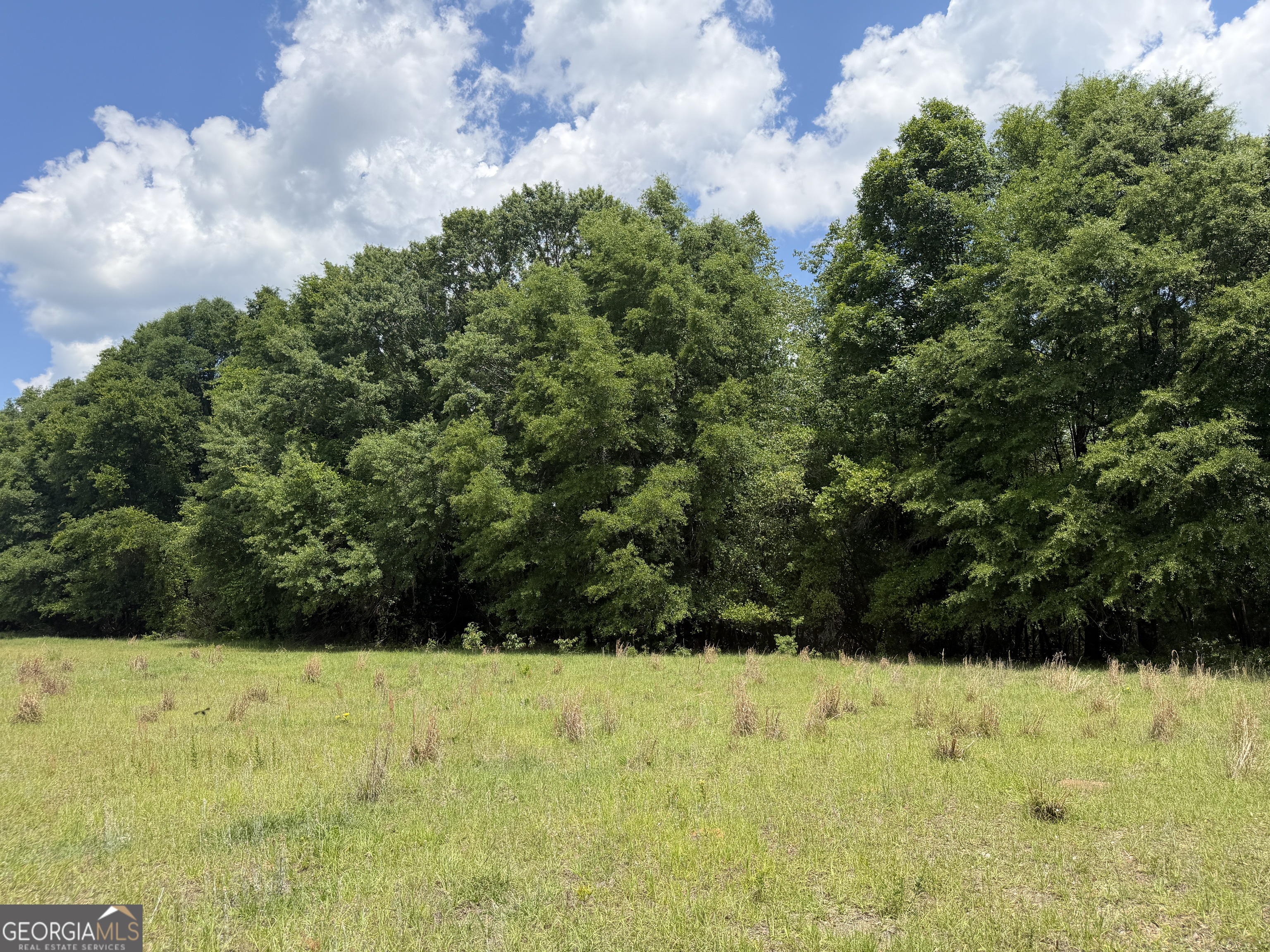 25 Long Branch Road Toomsboro, GA 31090 - Photo 7 of 10