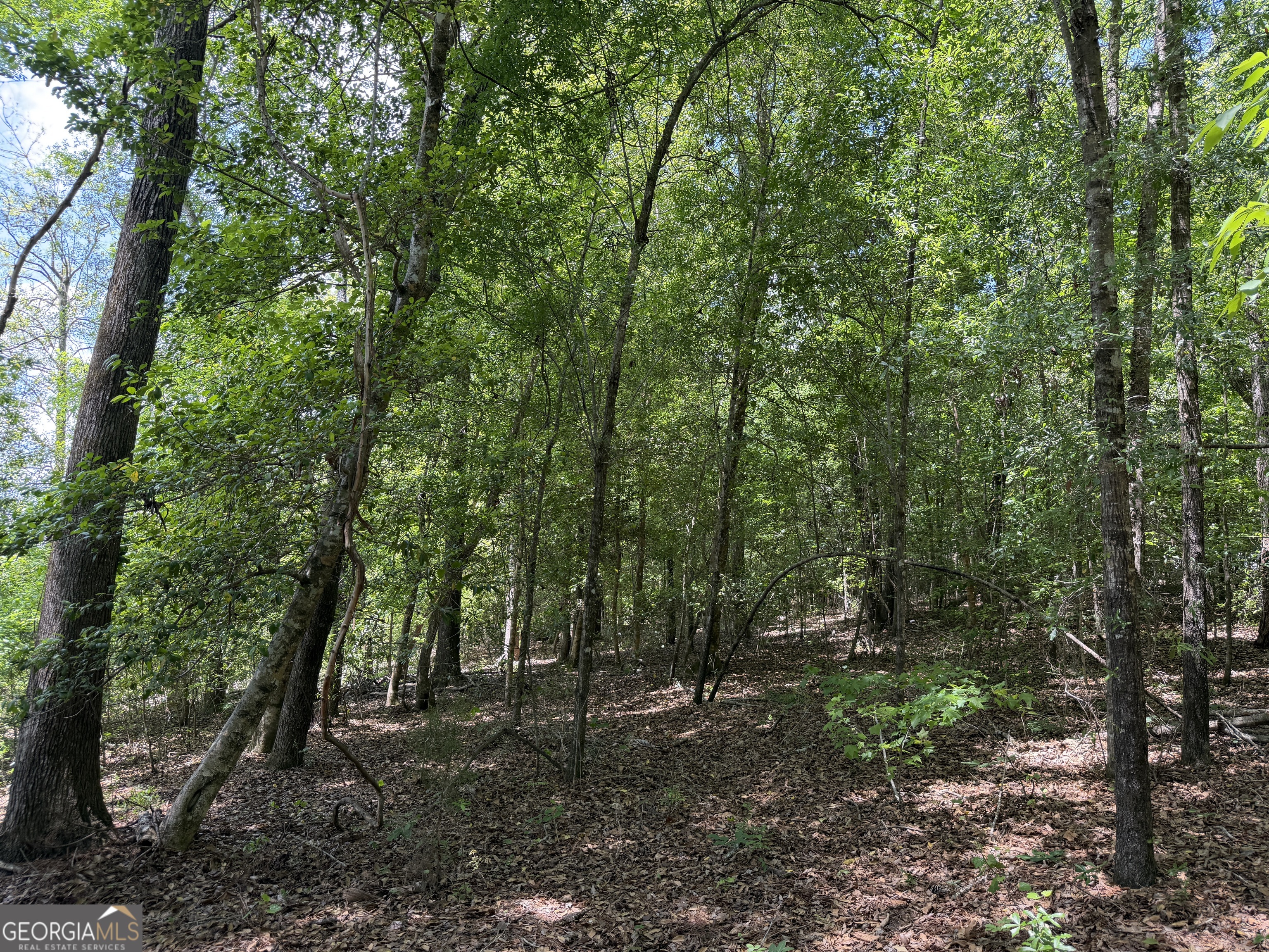 25 Long Branch Road Toomsboro, GA 31090 - Photo 8 of 10