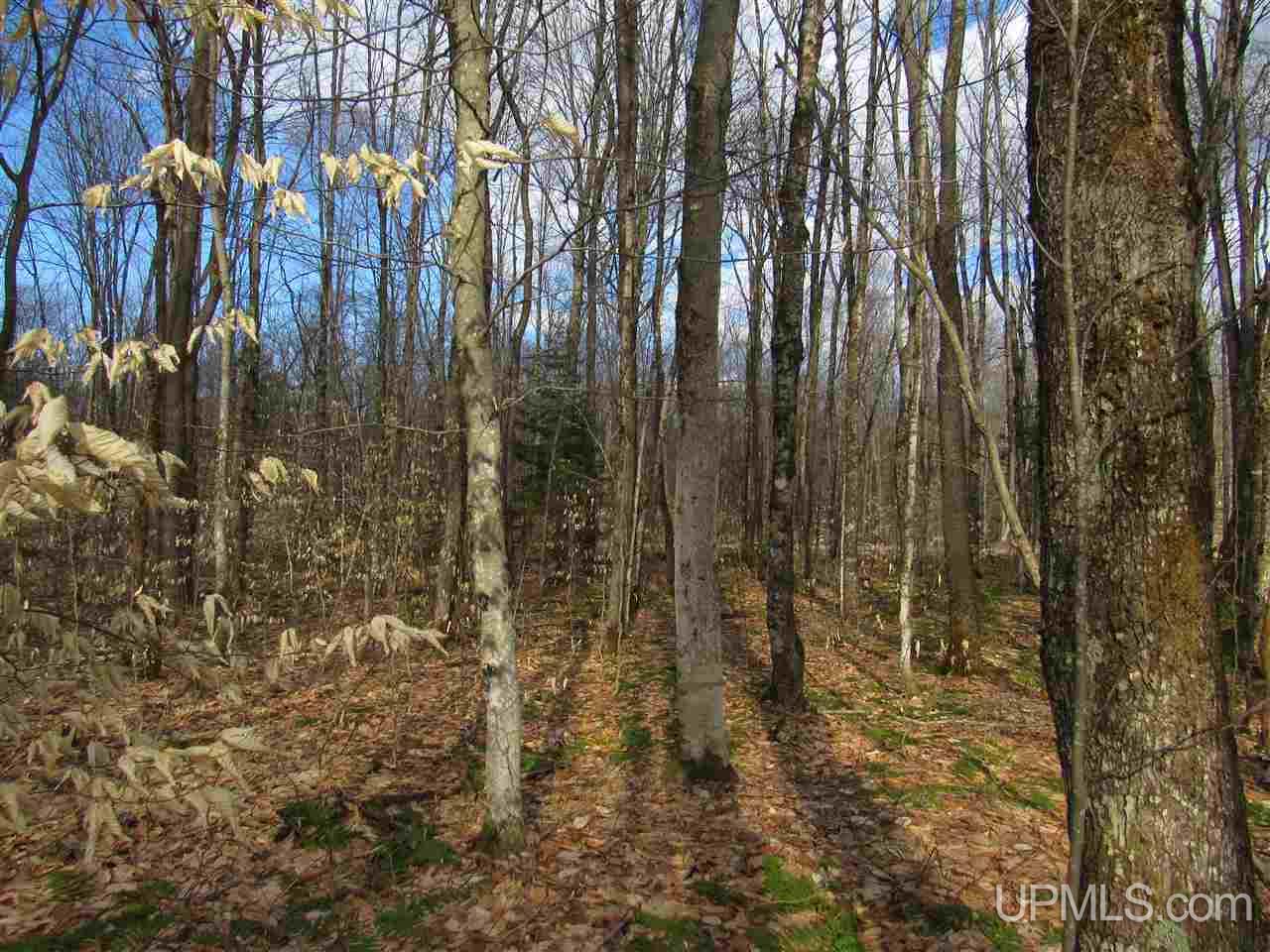 Tbd--x Crossover Road Munising, MI 49862 - Photo 15 of 23