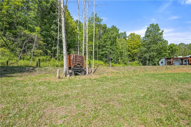 $105,000 | L55 Arnold Road, Preston Hollow, NY 12469